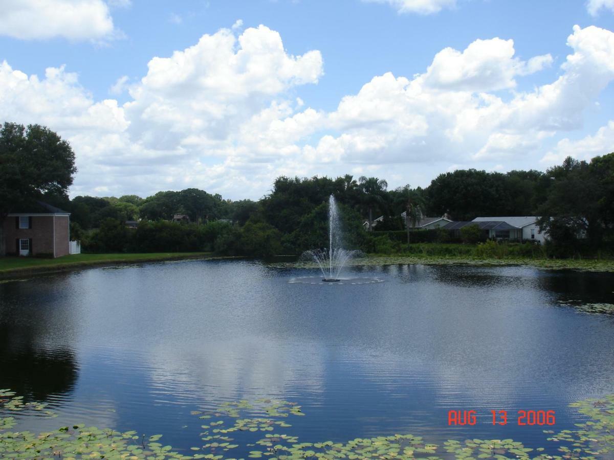 Beautiful Condo Close To Busch Gardens Tampa Eksteriør bilde